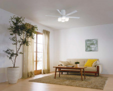 ܹ | ODELIC ǥå 󥰥ե WF237 | ̿饤ȥ