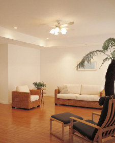 �ܹ������ | ODELIC �����ǥ�å� ������󥰥ե��� WF801P1 | ���������̿�����饤�ȥ�������