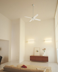 �ܹ������ | ODELIC �����ǥ�å� ������󥰥ե��� WF801P1 | ���������̿�����饤�ȥ�������