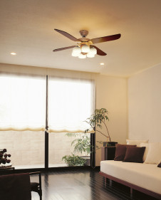 �ܹ������ | ODELIC �����ǥ�å� ������󥰥ե��� WF802P1 | ���������̿�����饤�ȥ�������