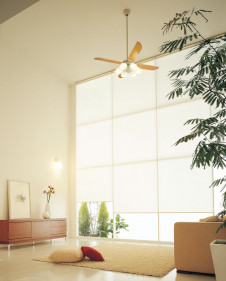 ܹ | ODELIC ǥå 󥰥ե WF803P1 | ̿饤ȥ