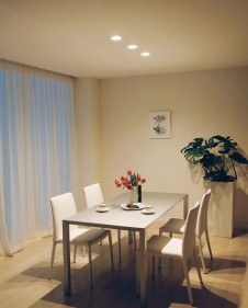 �ܹ������ | ODELIC �����ǥ�å� ������饤�� OD361127 | ���������̿�����饤�ȥ�������