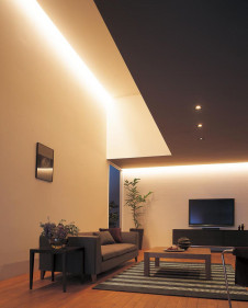 �ܹ������ | ODELIC �����ǥ�å� �����Ѵ��ܾ��� OL251966 | ���������̿�����饤�ȥ�������