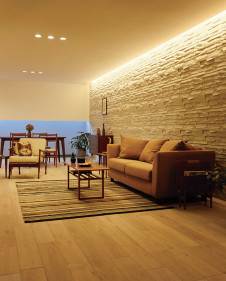 �ܹ������ | ODELIC �����ǥ�å� �����Ѵ��ܾ��� OL291034 | ���������̿�����饤�ȥ�������