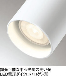 �ܹ������ | ODELIC �����ǥ�å� ���ݥåȥ饤�� OS256490 | ���������̿�����饤�ȥ�������