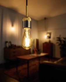 �ܹ������ | ODELIC �����ǥ�å� �ڥ����ȥ饤�� OP252463LC | ���������̿�����饤�ȥ�������