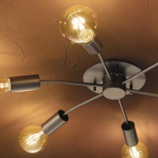 �ܹ������ | ODELIC �����ǥ�å� �����ǥꥢ OC257122LC | ���������̿�����饤�ȥ�������