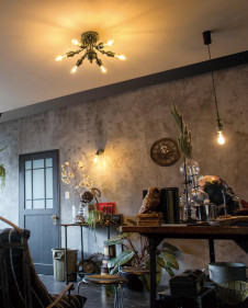 �ܹ������ | ODELIC �����ǥ�å� �����ǥꥢ OC257128LC | ���������̿�����饤�ȥ�������