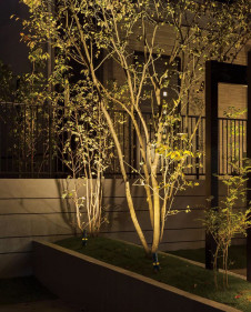 ܹ | ODELIC ǥå ƥꥢ饤 OG254929 | ̿饤ȥ