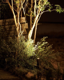 ܹ | ODELIC ǥå ƥꥢ饤 OG254929 | ̿饤ȥ