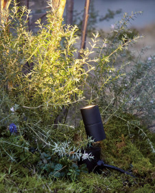 �ܹ������ | ODELIC �����ǥ�å� �������ƥꥢ�饤�� OG254930 | ���������̿�����饤�ȥ�������