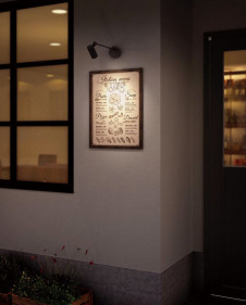 �ܹ������ | ODELIC �����ǥ�å� �������ƥꥢ�饤�� OG254935 | ���������̿�����饤�ȥ�������