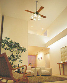 ܹ | ODELIC ǥå 󥰥ե WF682P2 | ̿饤ȥ