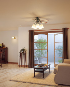 �ܹ������ | ODELIC �����ǥ�å� ������󥰥ե��� WF683P2 | ���������̿�����饤�ȥ�������