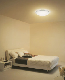 �ܹ������ | ODELIC �����ǥ�å� ������󥰥饤�� OL251198BCR | ���������̿�����饤�ȥ�������