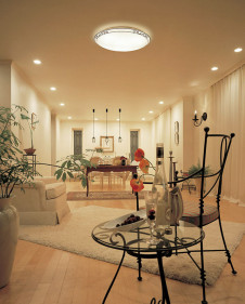 �ܹ������ | ODELIC �����ǥ�å� ������󥰥饤�� OL251454BCR | ���������̿�����饤�ȥ�������