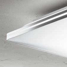 �ܹ������ | ODELIC �����ǥ�å� ������󥰥饤�� OL251517R | ���������̿�����饤�ȥ�������