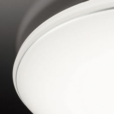 �ܹ������ | ODELIC �����ǥ�å� ������󥰥饤�� OL251814R | ���������̿�����饤�ȥ�������