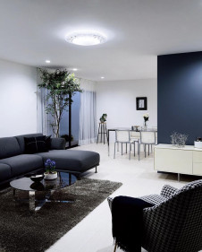 �ܹ������ | ODELIC �����ǥ�å� ������󥰥饤�� OL291154R | ���������̿�����饤�ȥ�������