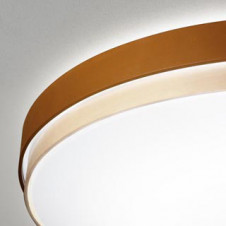 �ܹ������ | ODELIC �����ǥ�å� ������󥰥饤�� OL291300BCR | ���������̿�����饤�ȥ�������