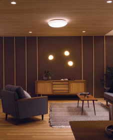 �ܹ������ | ODELIC �����ǥ�å� ������󥰥饤�� OL291303BCR | ���������̿�����饤�ȥ�������