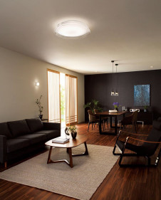 �ܹ������ | ODELIC �����ǥ�å� ������󥰥饤�� OL291442BCR | ���������̿�����饤�ȥ�������