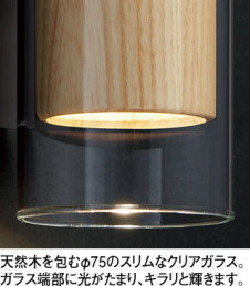 �ܹ������ | ODELIC �����ǥ�å� �֥饱�å� OB255339LR | ���������̿�����饤�ȥ�������