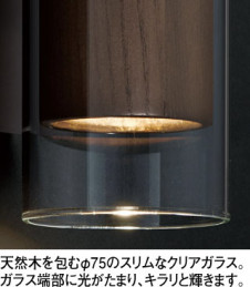 ܹ | ODELIC ǥå ֥饱å OB255340BR | ̿饤ȥ