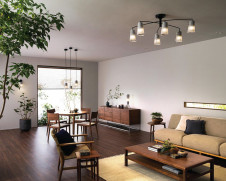 �ܹ������ | ODELIC �����ǥ�å� �����ǥꥢ OC257146BR | ���������̿�����饤�ȥ�������