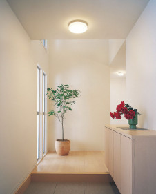 �ܹ������ | ODELIC �����ǥ�å� ����������󥰥饤�� OL251272R | ���������̿�����饤�ȥ�������