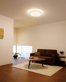 �ܹ������ | ODELIC �����ǥ�å� ������󥰥饤�� OL251498LR | ���������̿�����饤�ȥ�������