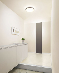 �ܹ������ | ODELIC �����ǥ�å� ����������󥰥饤�� OL291115LR | ���������̿�����饤�ȥ�������