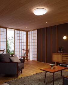 �ܹ������ | ODELIC �����ǥ�å� ������󥰥饤�� OL291304BRE | ���������̿�����饤�ȥ�������