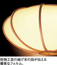 �ܹ������ | ODELIC �����ǥ�å� �ڥ����ȥ饤�� OP252170R | ���������̿�����饤�ȥ�������