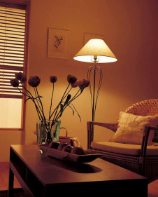 �ܹ������ | ODELIC �����ǥ�å� ������� OT022126LR | ���������̿�����饤�ȥ�������