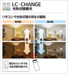 Ĵʥ⥳ | ODELIC ǥå 󥰥ե WF446PR | ̿饤ȥ