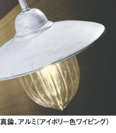 ܹ | ODELIC ǥå ƥꥢ饤 OG254237LCR | ̿饤ȥ