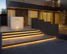 �ܹ������ | ODELIC �����ǥ�å� �������ƥꥢ�饤�� OG264084 | ���������̿�����饤�ȥ�������