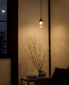 ܹ | ODELIC ǥå ڥȥ饤 OP252310LR | ̿饤ȥ