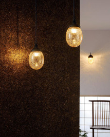 �ܹ������ | ODELIC �����ǥ�å� �ڥ����ȥ饤�� OP252313LR | ���������̿�����饤�ȥ�������