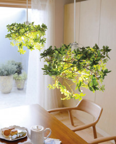 �ܹ������ | ODELIC �����ǥ�å� �ڥ����ȥ饤�� OP252319BR | ���������̿�����饤�ȥ�������