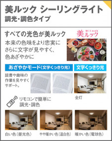 Panasonic ������󥰥饤�� LGC31621 �̿�6