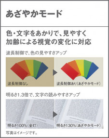 Panasonic ������󥰥饤�� LGC51621 �̿�4