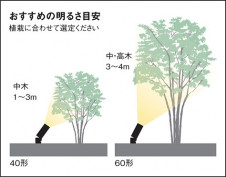 Panasonic ƥꥢݥåȥ饤 LGW40814LE1 ̿6