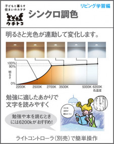 Panasonic ݥåȥ饤 XAS1003CU1 ̿6