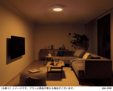 Panasonic ������󥰥饤�� LGC48100 �̿�5