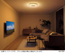 Panasonic ������󥰥饤�� LGC58100 �̿�4