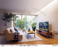 Panasonic 饤 LGD1172NLB1 ̿2