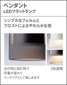 Panasonic ڥ XLGB1019CE1 ̿4