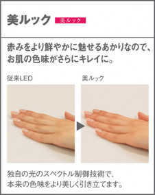 Panasonic ֥饱å XLGB82836CE1 ̿4